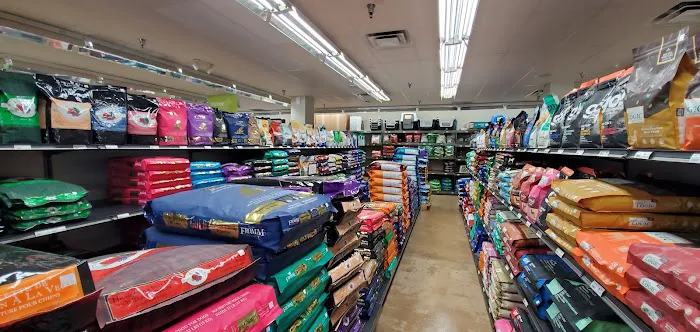 Hollywood Feed Picture 2