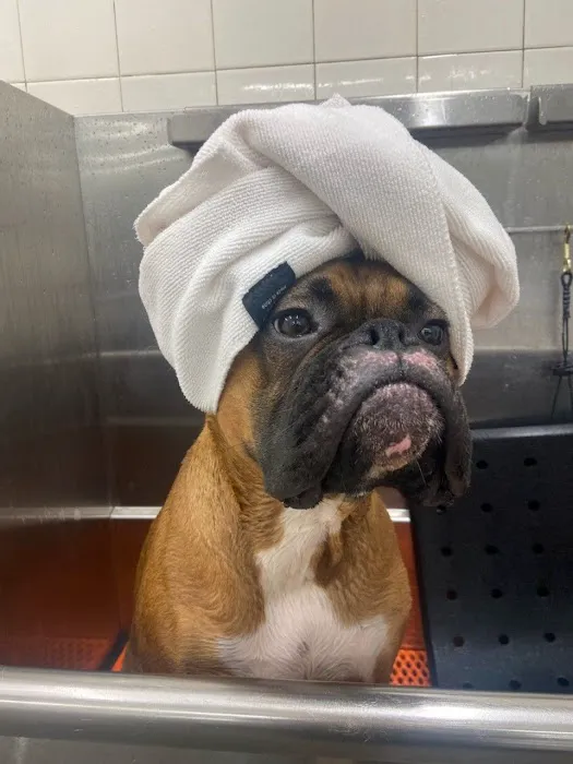 Hollywood Feed Picture 4