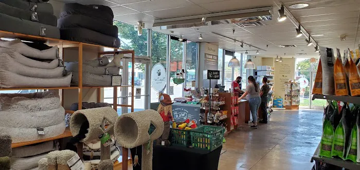 Hollywood Feed Picture 3