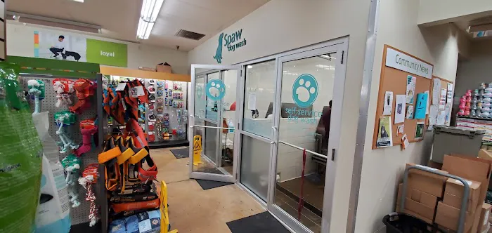 Hollywood Feed Picture 10