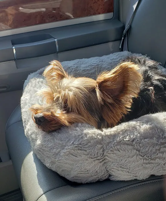 Hodes Veterinary Group Picture 2