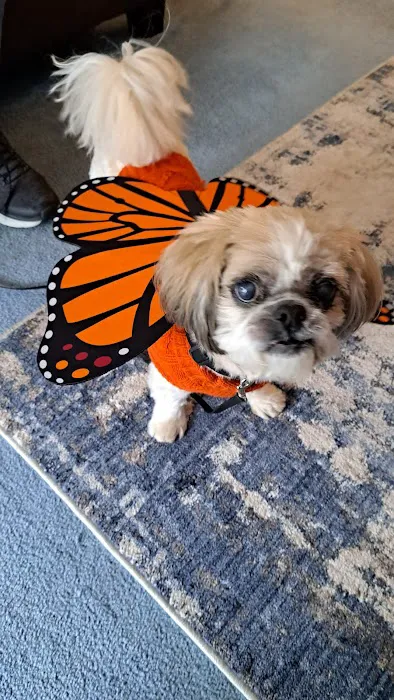 Hodes Veterinary Group Picture 4