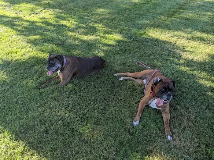 Hodes Veterinary Group Picture 8