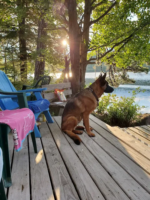 Hodes Veterinary Group Picture 7