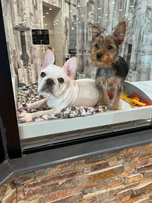 Petland Columbus Upper Arlington Picture 1
