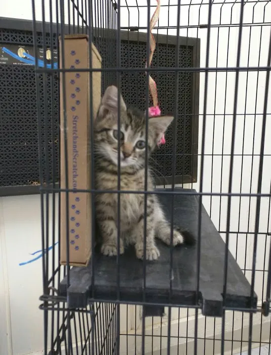 Country Lakes Animal Clinic Picture 2