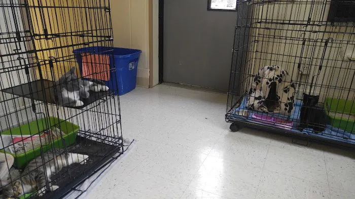 Country Lakes Animal Clinic Picture 4