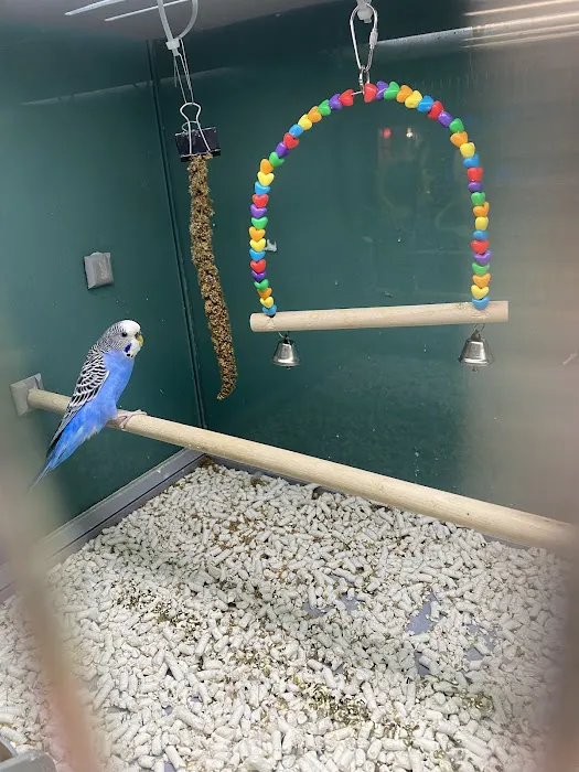 Pet Supplies Plus Upper Arlington Picture 2