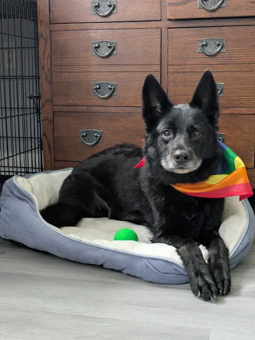 Pet Supplies Plus Upper Arlington Picture 9