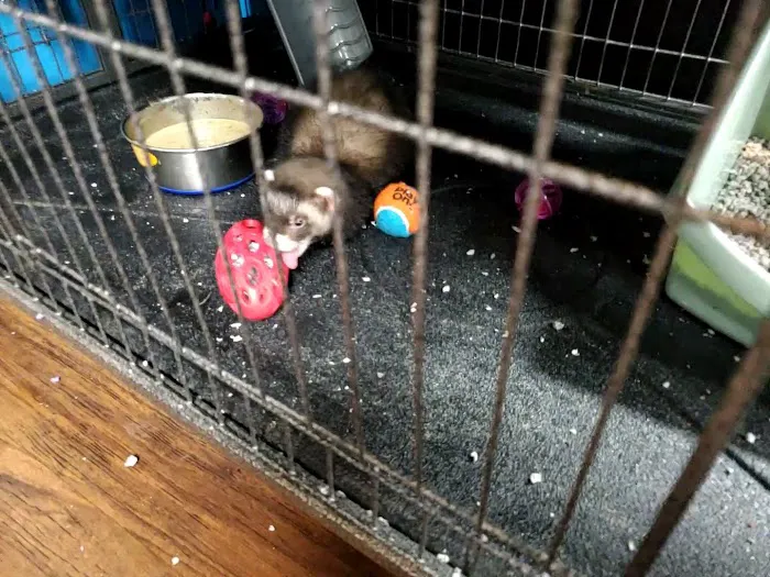 Pet Supplies Plus Upper Arlington Picture 3