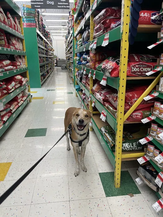 Pet Supplies Plus Upper Arlington Picture 7