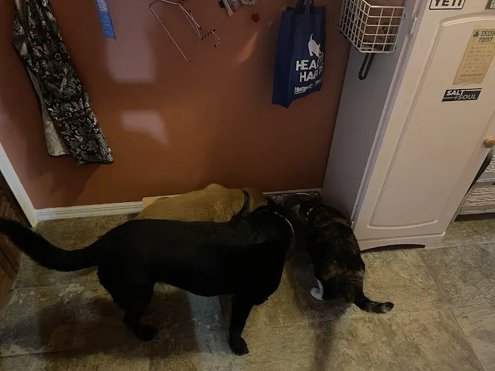 Byram Animal Hospital Picture 10