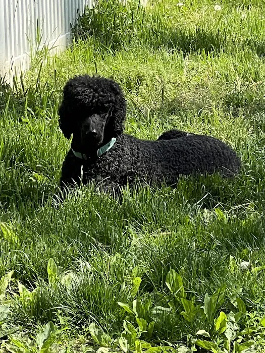 Byram Animal Hospital Picture 6