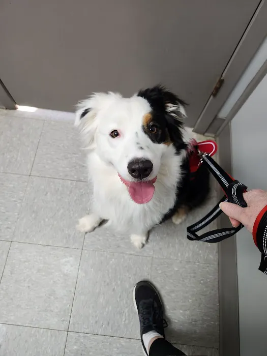 Byram Animal Hospital Picture 5