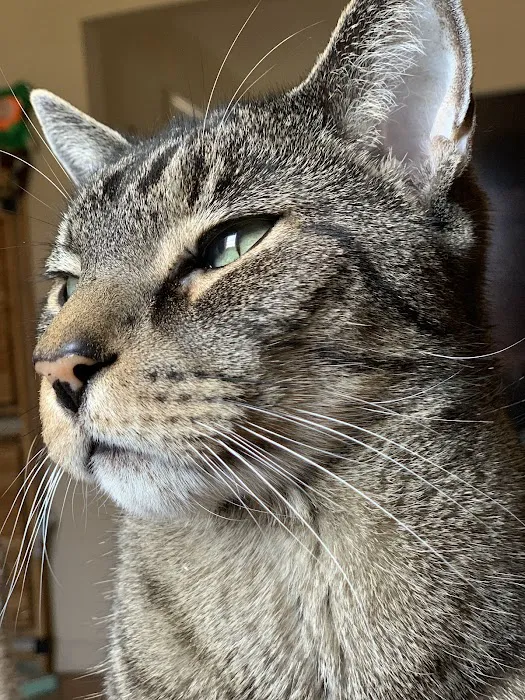 Byram Animal Hospital Picture 2