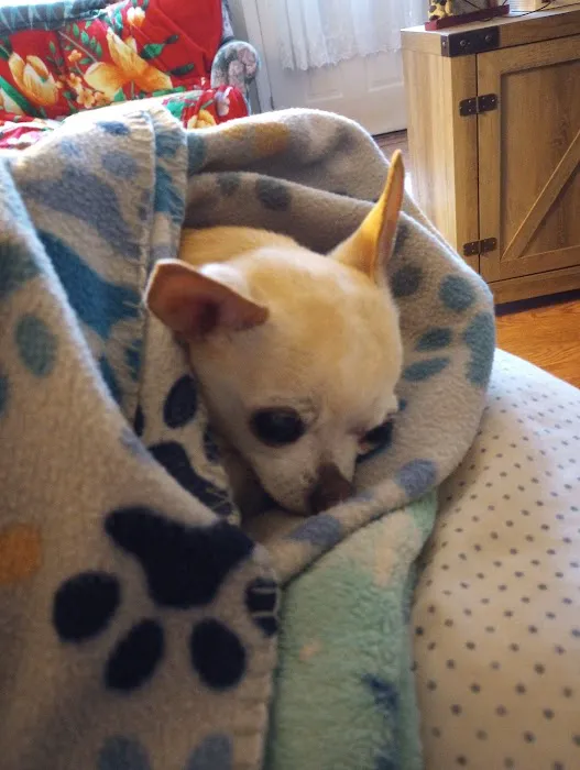 Byram Animal Hospital Picture 1