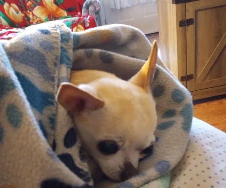 Byram Animal Hospital