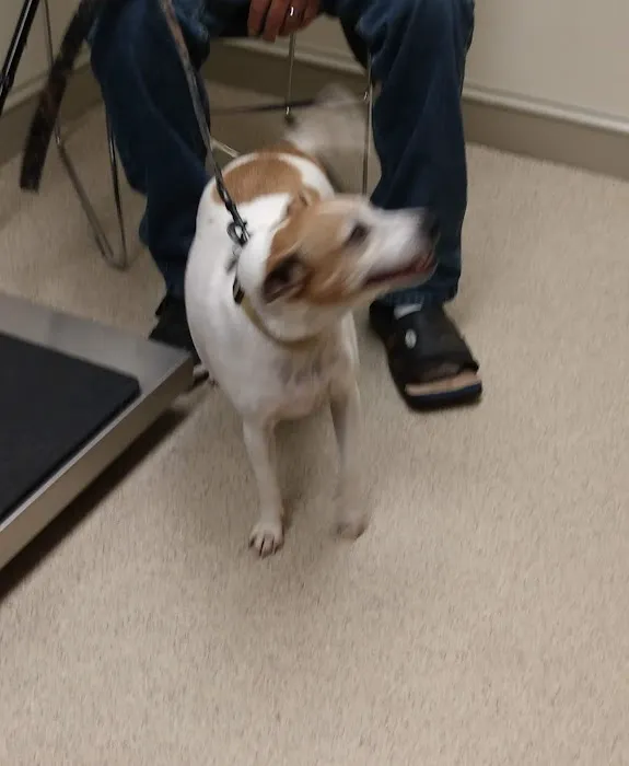 Branchville Country Vet Clinic Picture 8