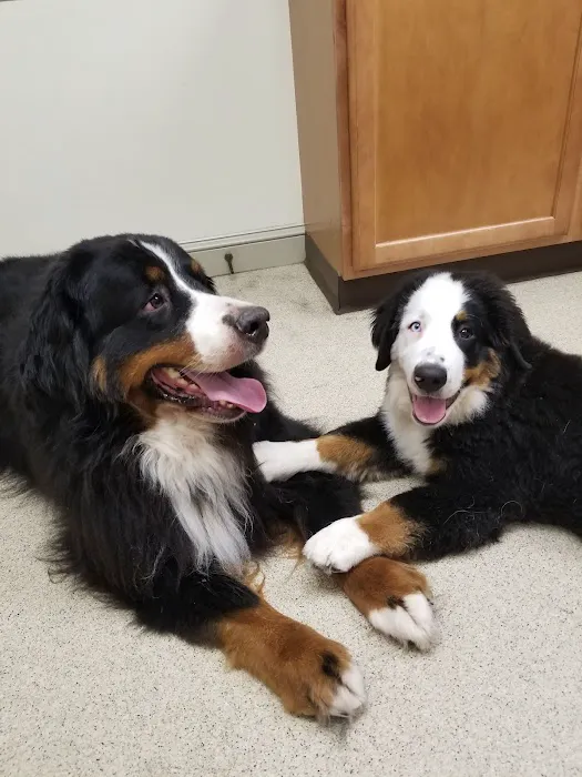 Branchville Country Vet Clinic Picture 4
