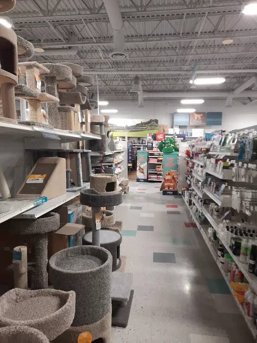 Petco Picture 3