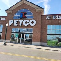 Petco ico