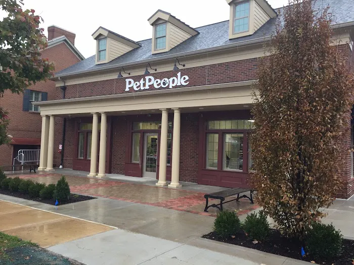 Hollywood Feed Picture 2