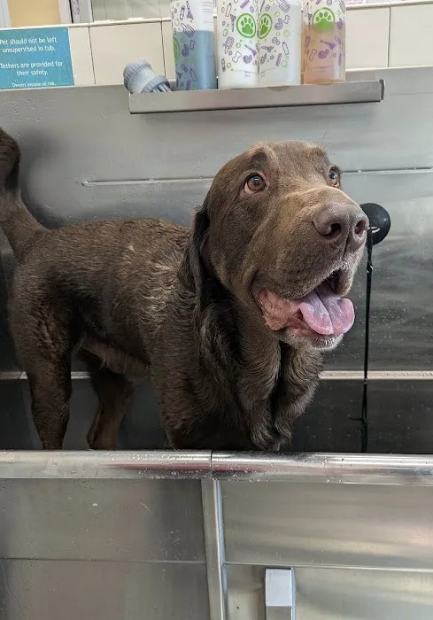 Hollywood Feed Picture 6