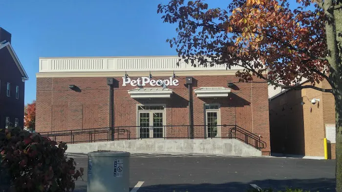 Hollywood Feed Picture 9