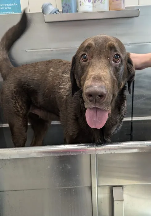 Hollywood Feed Picture 4