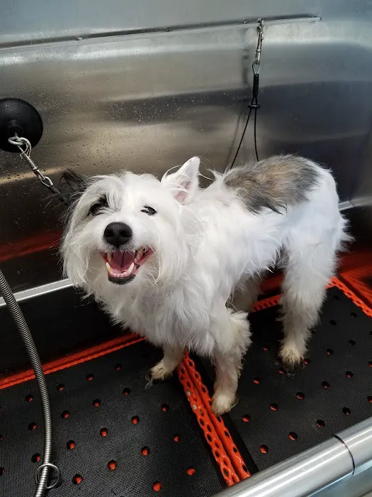 Hollywood Feed Picture 7