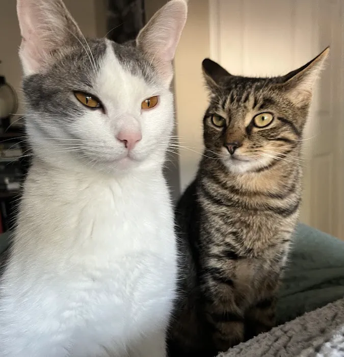 Family Veterinary Services Picture 10