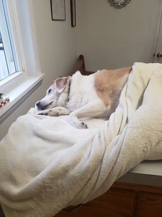 Family Veterinary Services Picture 7