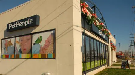 Hollywood Feed Picture 3