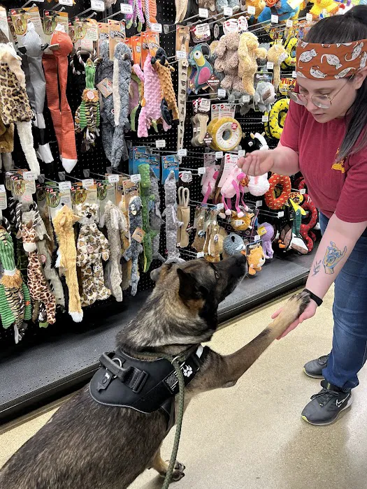 Hollywood Feed Picture 5