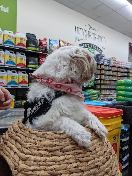 Hollywood Feed Picture 6