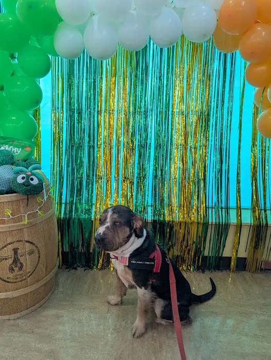 Hollywood Feed Picture 8