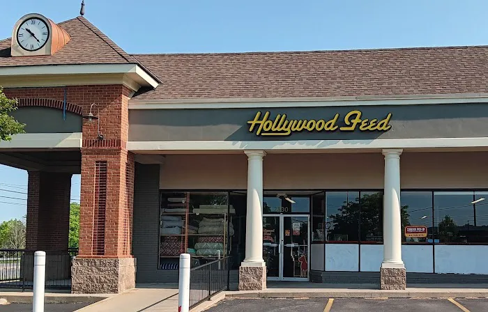 Hollywood Feed Picture 5