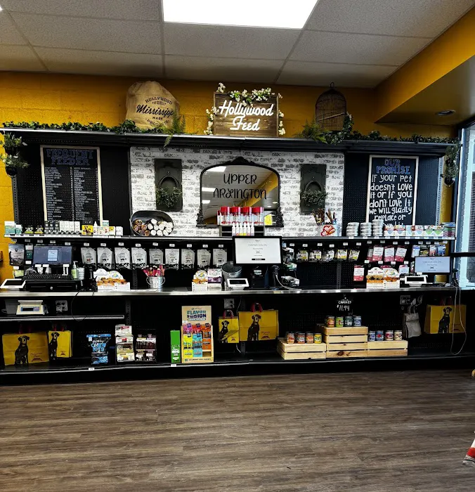 Hollywood Feed Picture 6