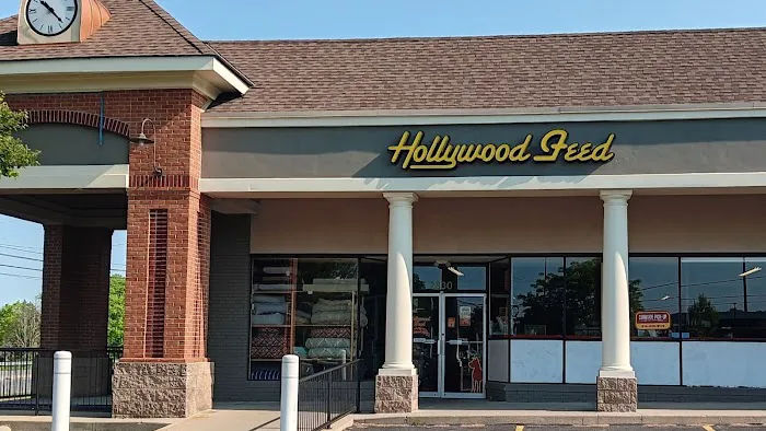 Hollywood Feed Picture 4