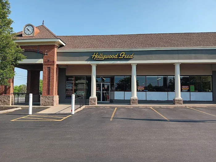 Hollywood Feed Picture 10