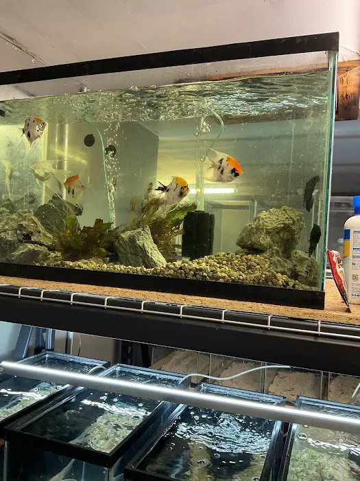 The Fish and Reptile Room Picture 6