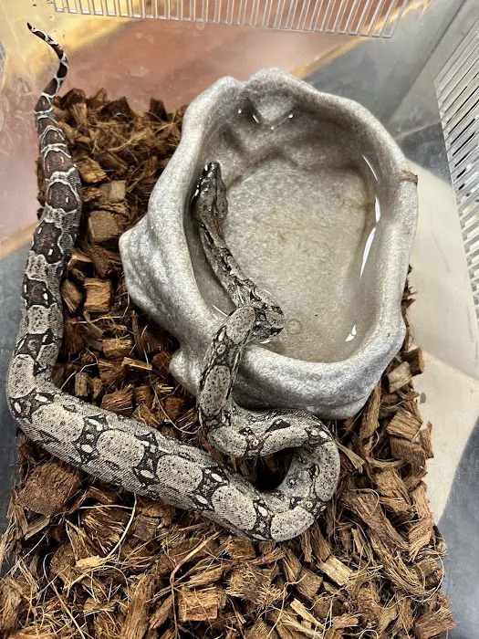 The Fish and Reptile Room Picture 8