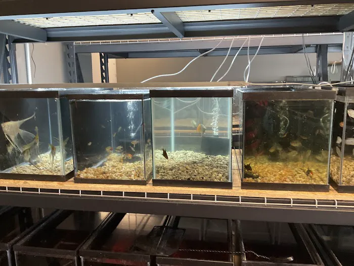 The Fish and Reptile Room Picture 1