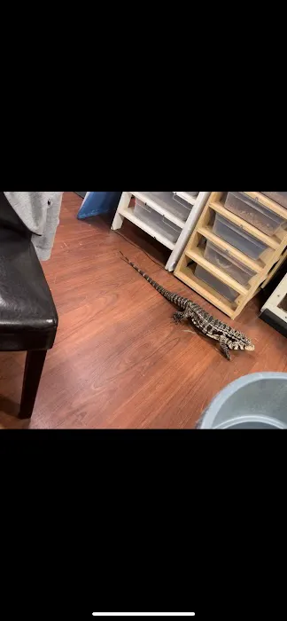 The Fish and Reptile Room Picture 9