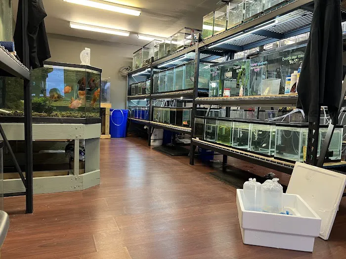 The Fish and Reptile Room Picture 10