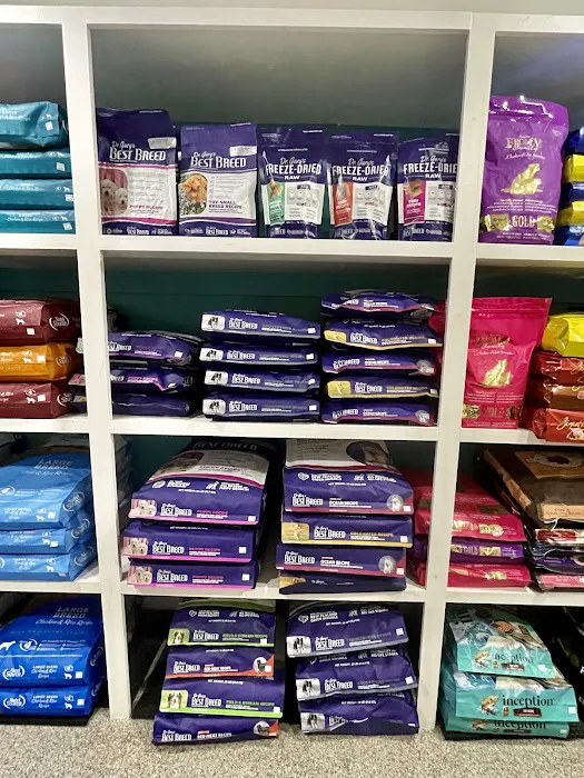 All Paws Pet Shop Picture 6