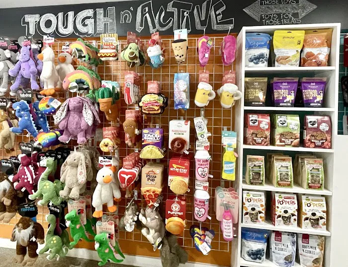 All Paws Pet Shop Picture 9