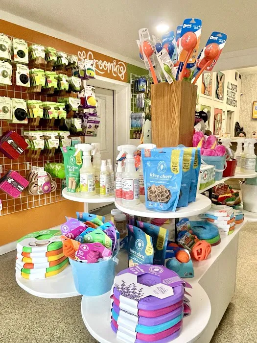 All Paws Pet Shop Picture 5