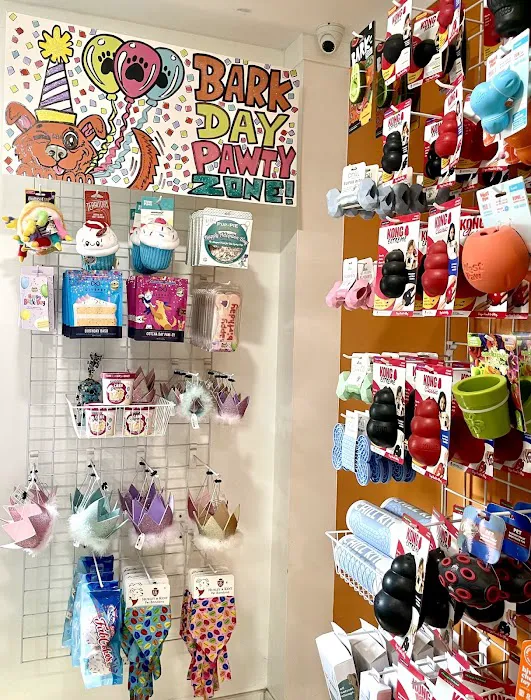 All Paws Pet Shop Picture 2