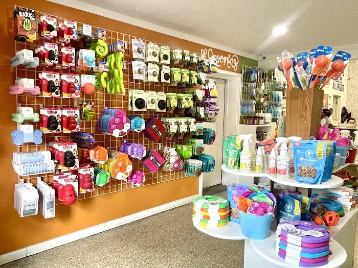All Paws Pet Shop Picture 7